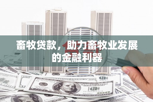 连州畜牧贷款，助力畜牧业发展的金融利器