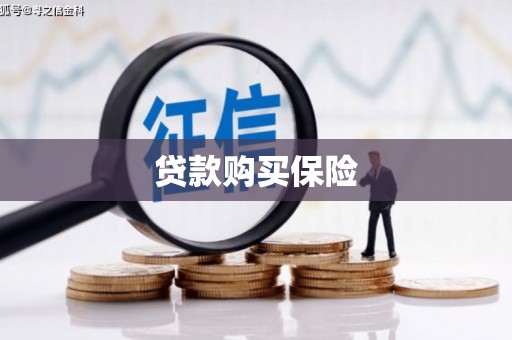 连州贷款购买保险