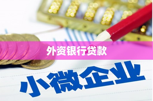 连州外资银行贷款