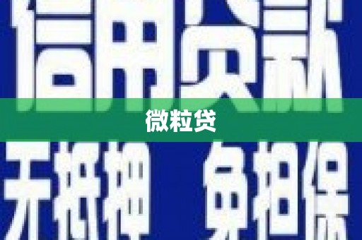 连州微粒贷
