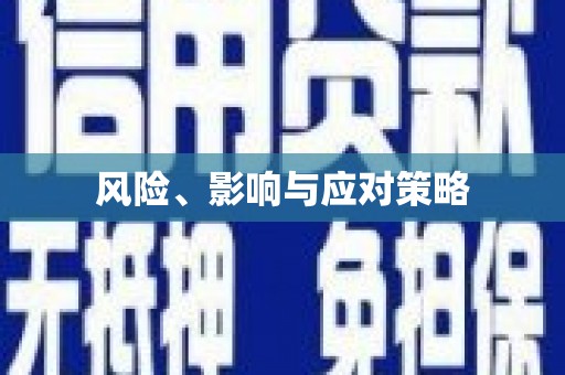 连州风险、影响与应对策略