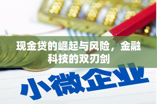 连州现金贷的崛起与风险，金融科技的双刃剑
