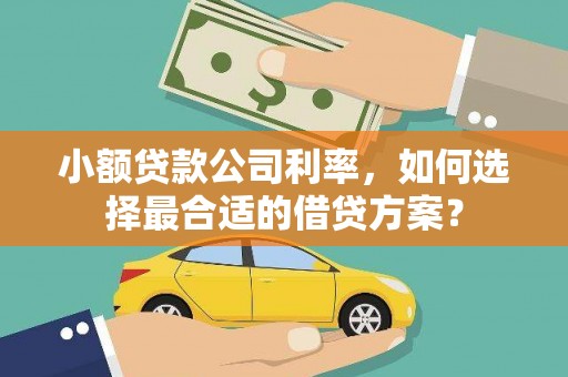 连州小额贷款公司利率，如何选择最合适的借贷方案？