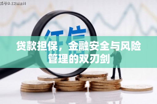 连州贷款担保，金融安全与风险管理的双刃剑