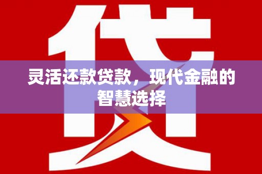 连州灵活还款贷款，现代金融的智慧选择