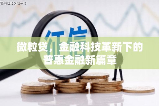 连州微粒贷，金融科技革新下的普惠金融新篇章