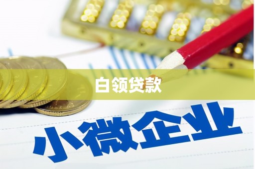 连州白领贷款