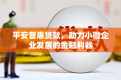 连州平安普惠贷款，助力小微企业发展的金融利器