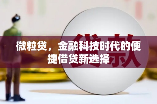 连州微粒贷，金融科技时代的便捷借贷新选择