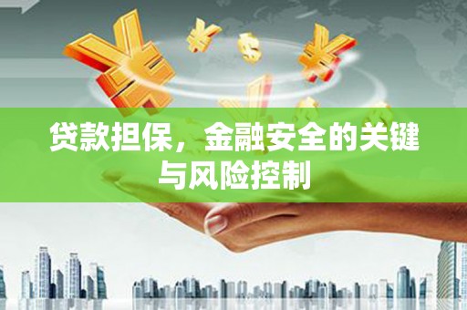 连州贷款担保，金融安全的关键与风险控制