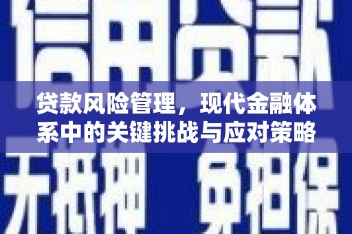 连州贷款风险管理，现代金融体系中的关键挑战与应对策略