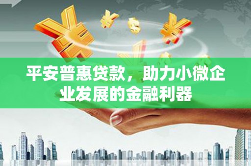连州平安普惠贷款，助力小微企业发展的金融利器