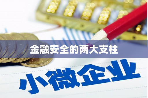 连州金融安全的两大支柱