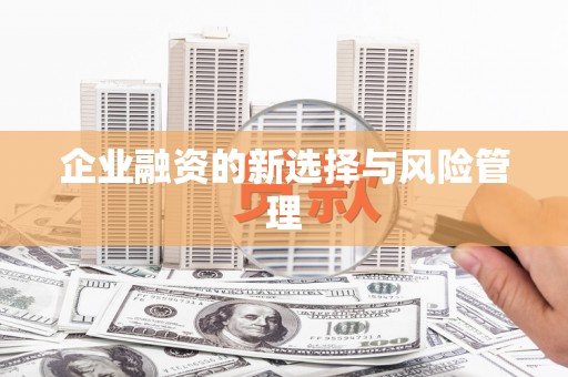 连州企业融资的新选择与风险管理